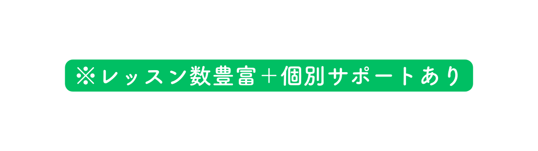 レッスン数豊富 個別サポートあり